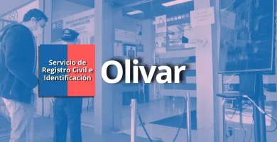 registro civil de olmue