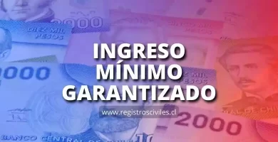 subsidio ingreso minimo garantizado